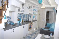 Dzg House