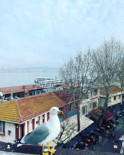 Hotel Carla