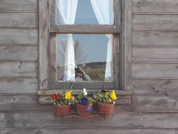 Vira Garden House
