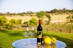 Finca Son Menut