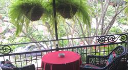 Park Plaza Hotel