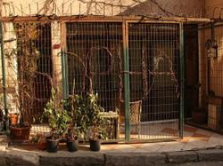 Taksim Sopha Hostel