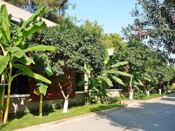 Cetinel Tesisleri Green Club