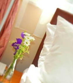 Yeniceri Apart Hotel