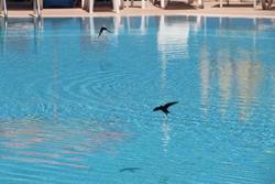 Apart Hotel Ege