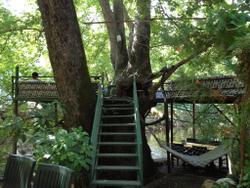 Yoruk Park Pension