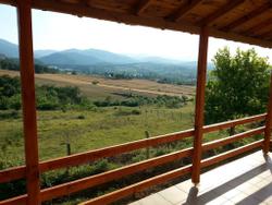 Villa Orkide