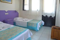 Pine Forest Hotel