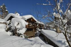 Abant Yesil Ev