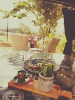 Baharin Bahce Pansiyon