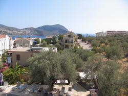 Pasha Apart Hotel