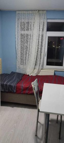 Golden Halich Hostel
