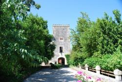 Finca Son Vivot 