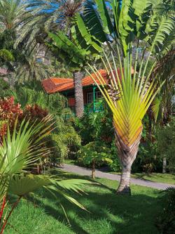 Hacienda San Jorge