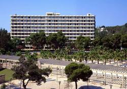 Sol Palmanova-Mirlos Tordos