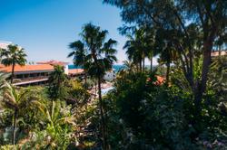 Parque Tropical