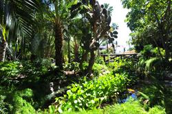 Parque Tropical