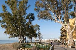 Hotel Roses Platja