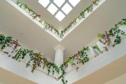Calimera Fido Gardens - Family Hotel****