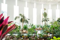 Spring Hotel Vulcano