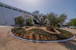 MarSenses Rosa del Mar Hotel & Spa