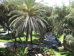 Sercotel Hotel Parque