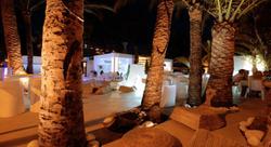 Safari