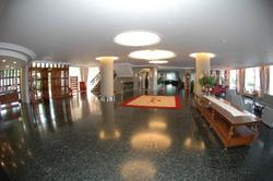 Arenal