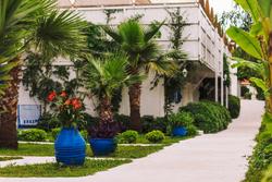 Monta Verde Hotel and Villas