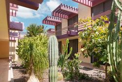 Hotel Palia Don Pedro