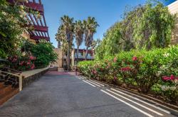 Hotel Palia Don Pedro