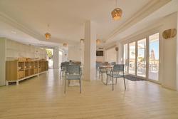 Azul Playa Apartments