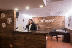 El Ciervo