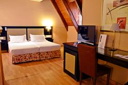 Hotel Spa Acevi Val d'Aran