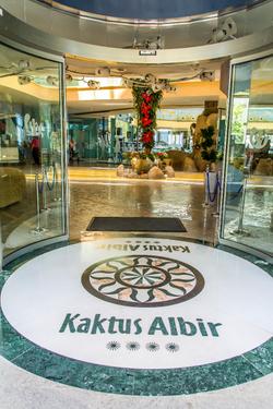 Kaktus Albir