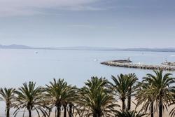 Montecarlo