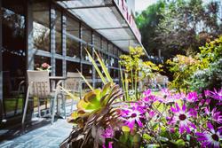Best Western Plus Alfa Aeropuerto