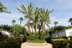 Camping Platja Cambrils