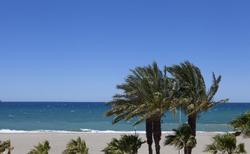 Playavera