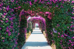 The St. Regis Mardavall Resort