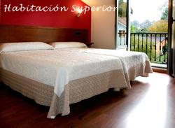 Hotel Virgen de Covadonga