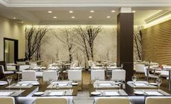 Ilunion Suites Madrid