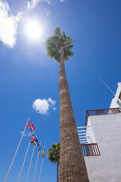 Vista Mar