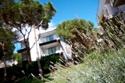 Hotel NM Suites by Escampa Hotels