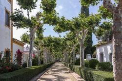 El Cortijo de los Mimbrales