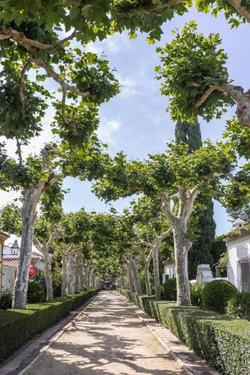 El Cortijo de los Mimbrales
