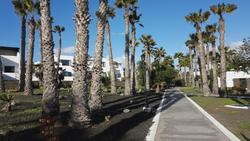 Palmeras Garden