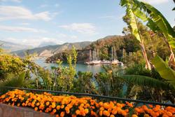 Club & Hotel Letoonia