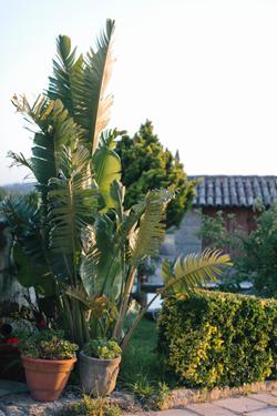 Hotel O Castro