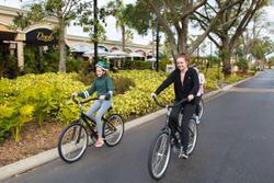 Westgate Vacation Villas Resort & Spa